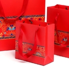 Le borse laminate del regalo di carta patinata con il ODM dell'OEM delle maniglie hanno sostenuto